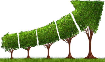 Illustration showing a growing tree representing the exponential growth of wealth through compound interest in long-term investing.