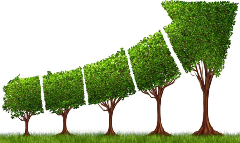 Illustration showing a growing tree representing the exponential growth of wealth through compound interest in long-term investing.