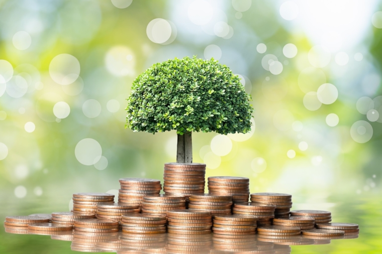 An image depicting a stack of coins with a growing plant symbolizing the concept of dividend investing for passive income. It represents the idea of cultivating wealth through dividend investments and the potential for long-term financial growth.